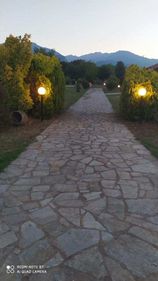 Willa Casa Consta Olympus Litochoro Zewnętrze zdjęcie