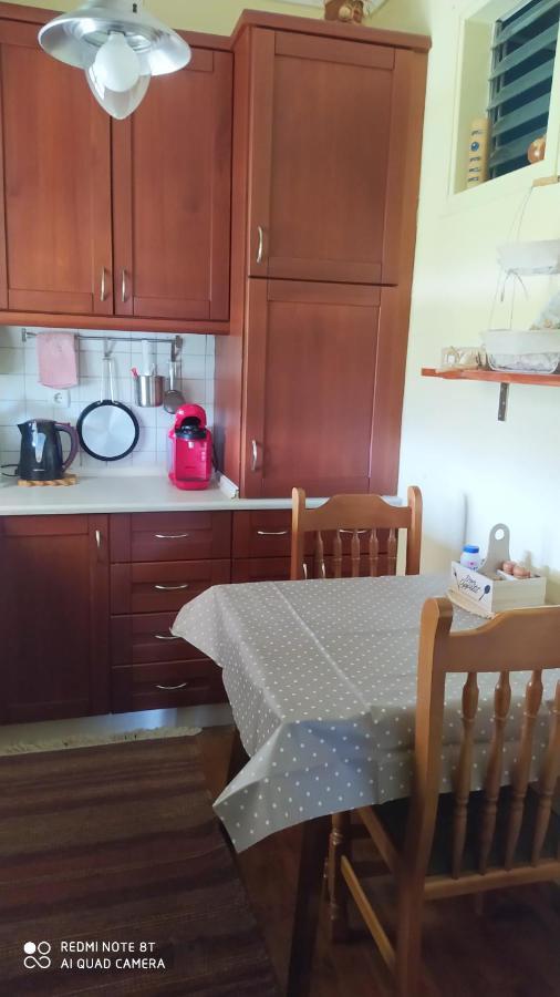 Willa Casa Consta Olympus Litochoro Zewnętrze zdjęcie
