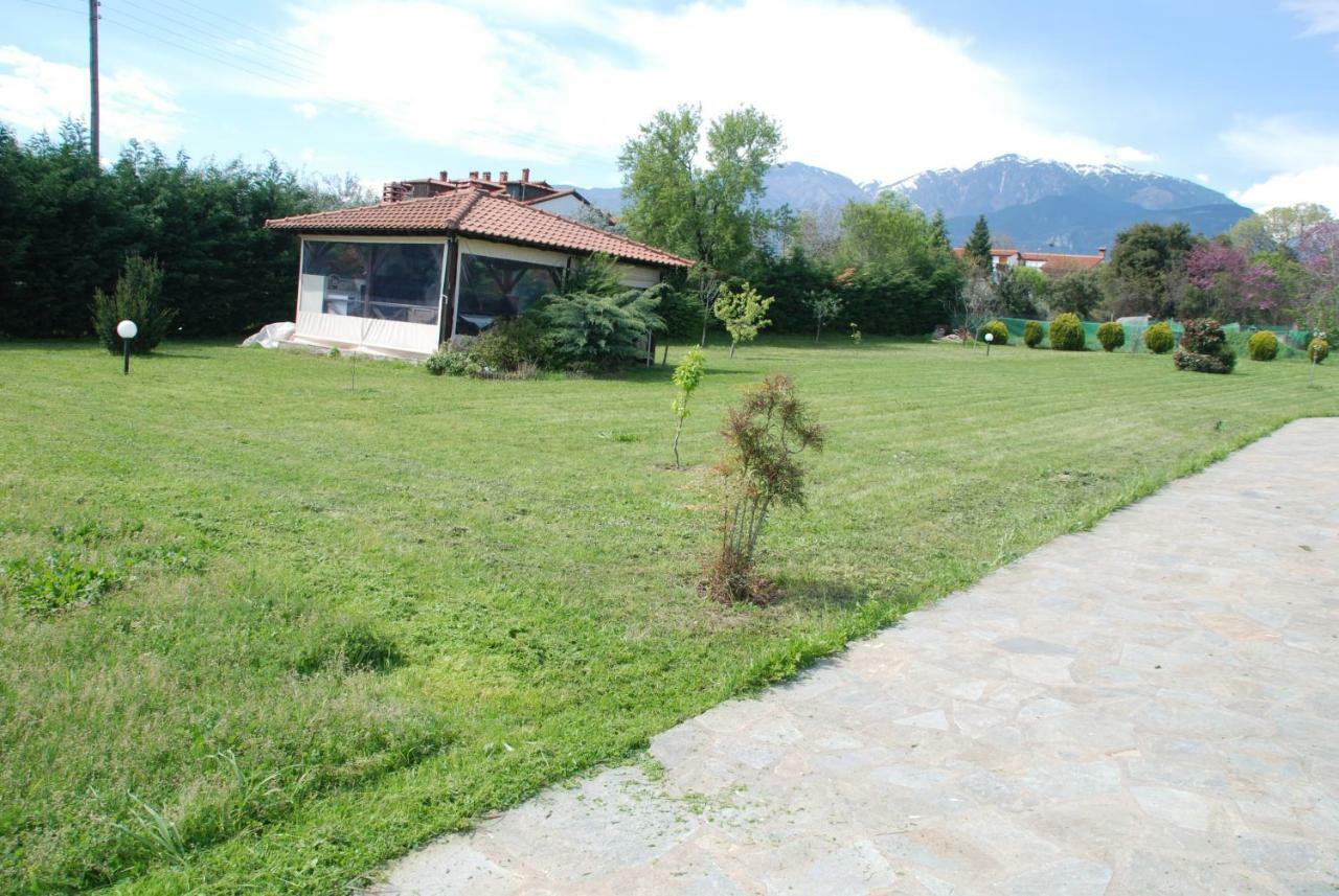 Willa Casa Consta Olympus Litochoro Zewnętrze zdjęcie